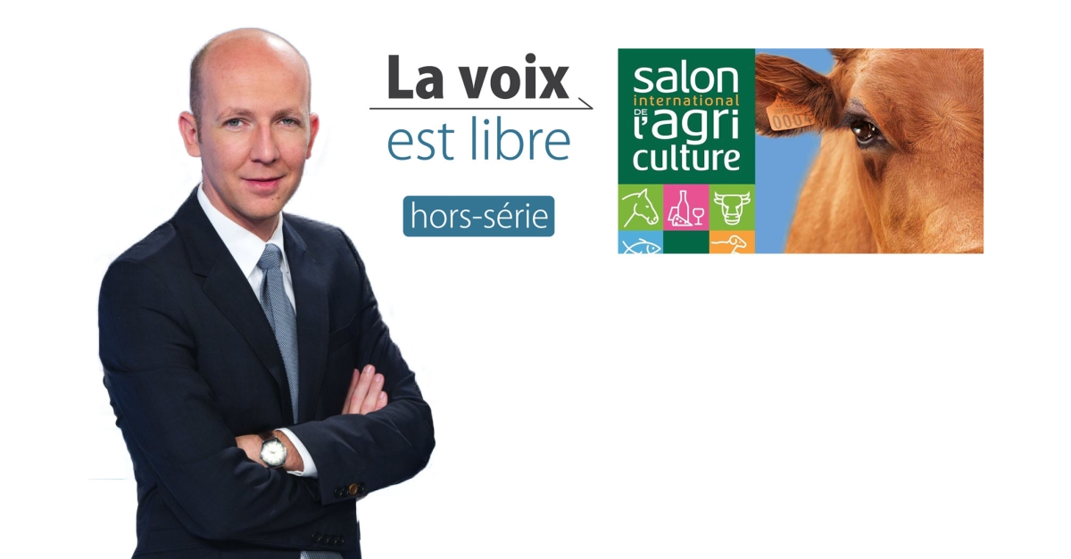 Hors Saison Serie Streaming LA VOIX EST LIBRE HORS SERIE | FranceTvPro.fr
